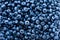 Macro texture of blueberry berries close up. Border design. Summer, vitamin, vegan, vegetarian concept. Healthy food