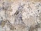 Macro texture - stone - mottled rock