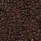 Macro texture of whole not ground coffee beans. Arabic medium roast.