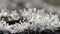 Macro time-lapse of melting hoarfrost particles. Majestic beauty of springtime transformation in wildlife nature. Melting Snow