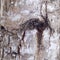 Macro Tree Bark Textures, Abstract Background, Natural textures, Organic background textures