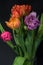 Macro of a tulip bouquet of five on black background