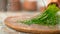 MACRO: Unrecognizable person splashing water by shaking a pot of green chives.