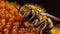 A macro view of a bees pollen basket. AI generated