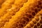 macro view of beeswax honeycomb texture