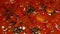 Macro view of boiling tomato sauce