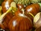 Macro view on chestnut. Close view. Chestnuts of brown color. Nature background. Fall season. Food background