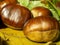 Macro view on chestnut. Close view. Chestnuts of brown color. Nature background. Fall season. Food background