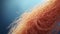 Macro View Of Elbow Hair: Layered Fibers In Cinema4d