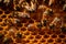 Macro view of honeybees working diligently inside their hive, meticulously crafting honeycomb cells filled with glistening.