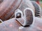 Macro view of a piece of metal on top of the metal casing of the motor of a concrete mixer completely frozen