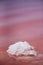 Macro View of the salt rock in red water Salinas Torrevieja Spain Sunny day with reflective surface