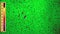 Macro view of scientific research of primitive microorganisms moving fast on green background