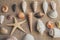 Macro view of seashells and starfish, many different seashells as texture and background.