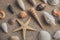 Macro view of seashells and starfish, many different seashells as texture and background.