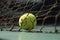 Macro view of yellow tennis ball in net on hard tennis court
