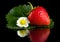 Macro whole strawberry with leaf and flower isolated on black