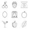 Macrobiotic menu icons set, simple style