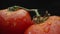 Macrography, tomatoes nestled within basket with black background. Comestible.