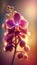 Macrophoto of an amazing pink orchid