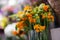 Macrophotography of tender spring orange flowers in a flower shop