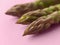 Macrophotography of upper part of fresh raw green asparagus stalks on a pastel pink background. Ingredient for healhy eating,