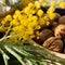 Macrophotography of walnuts and spring flowers