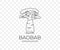 Madagascar african baobab, national park and savannah, nature, trees and plant, linear graphic design