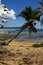 Madagascar boat palm lagoon and coastline