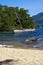 Madagascar branch boat palm and coastline