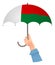 Madagascar flag umbrella