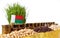 Madagascar flag waving with stack of money coins and piles of wheat