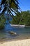 Madagascar nosy be rock branch boat palm lagoon and coastline