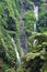 Madakaripura waterfall and ferns at Bromo
