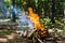 A made fire in the forest. Fire flames and sparks in nature. Leisure and camping. Summer, Autumn, Spring. Burning firewood and