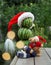 Made of three watermelons Snowman in a Santa hat, gift boxes, teddy bear