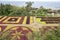 Madeira Botanical Garden, Funchal / MADEIRA - April 22, 2017: Amazing mosaic made of colorful plants is the biggest attraction