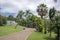 Madeira Botanical Garden, Funchal / MADEIRA - April 22, 2017: partially burned palm trees and cycads after fires in 2016