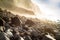 Madeira coast - cliffs and rocky beach