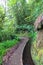 Madeira island beautiful nature landscape, footpath trail in mountains and forest