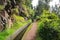 Madeira island beautiful nature landscape, footpath trail in mountains and forest