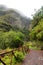 Madeira island beautiful nature landscape, footpath trail in mountains and forest