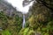 Madeira island beautiful waterfall and mountain landscape, national park Ribeiro Frio in Portugal
