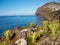 Madeira, Palm trees, Cabo Girao Cliff, Portugal