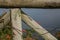 Madeira, Portugal, Europe - a little lizard on a sunny day.