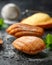 Madeleine French small cake, cookies shell on rustic background