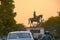 Madho singh statue with horse shot at dusk near albert hall in jaipur a landmark in the city and an often visited spot