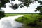 The Madidi National Park