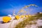 Madiera Beach and sea oats in Florida