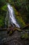 Madison Falls in Elwha River Valley, Olympic National Park